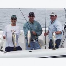 2005 Raritan Bay, NJ - Weakfish