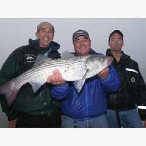 2006 Sandy Hook, NJ Striped Bass